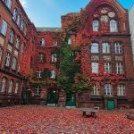 Die Hedwig-Dohm Oberschule im herbstlichen Outfit